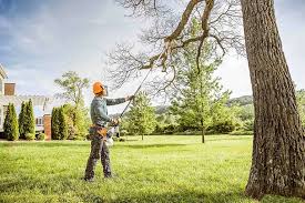 Leaf Removal in Balch Springs, TX